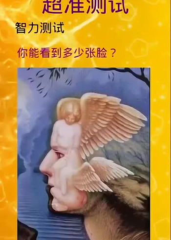 智力测试你能看出几张脸3张正常人张智力较高15张是天才