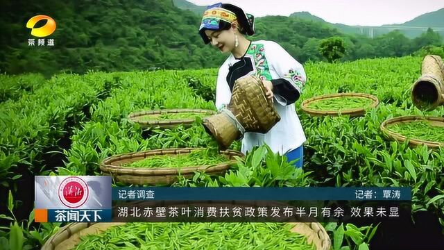 湖北赤壁茶叶消费扶贫政策发布半月有余 效果未显茶闻天下