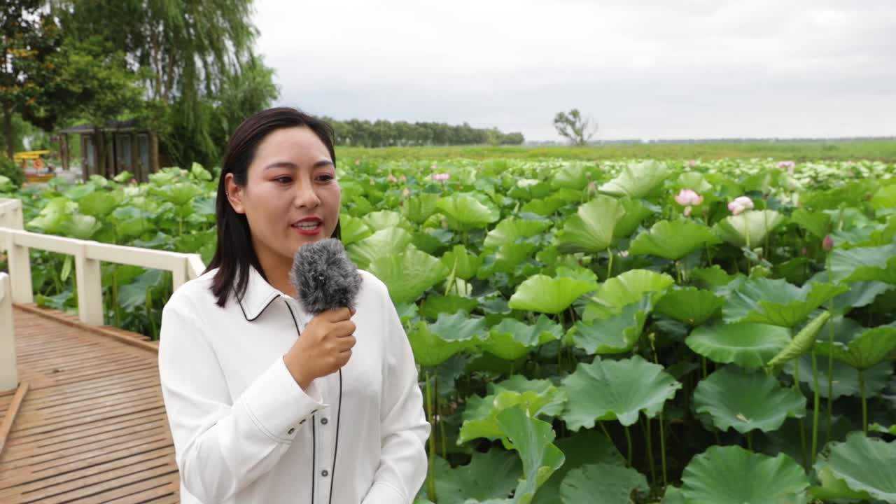 62.张娟 宝应荷园