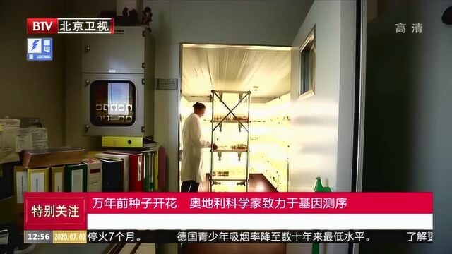 万年前种子开花 奥地利科学家致力于基因测序