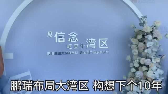 瑞鹏布局大湾区,构想下一个10年