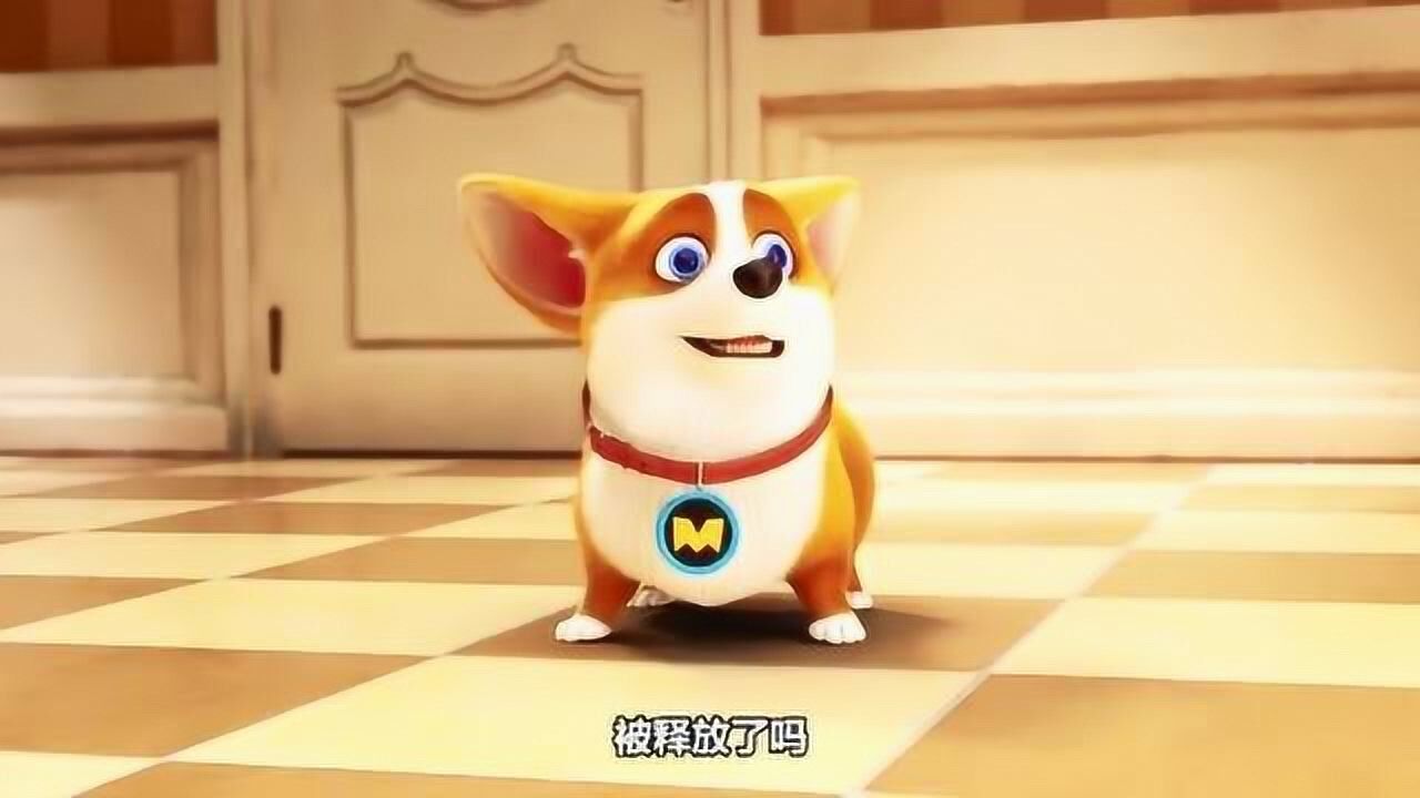 飞狗moco吃货是天生的不存在压力这一说巴顿就很不一般啊