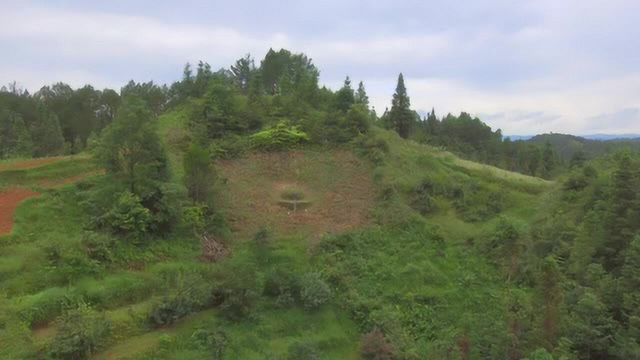 背靠大山山形風水堪稱寶地此墓地才是百裡挑一的風水寶地