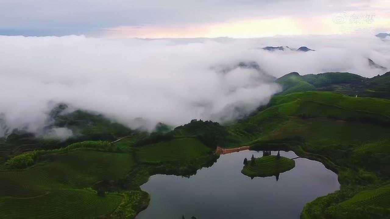 中国最美的茶园塘,武义大圆塘