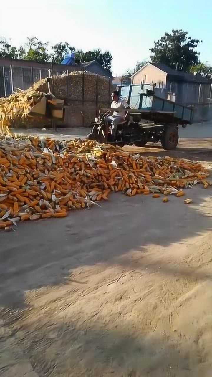 农村牛人,制作的铲车,了解一下