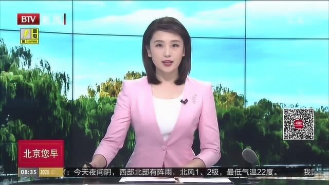 自行车未按标志让行 骑车人弯道被撞担主责