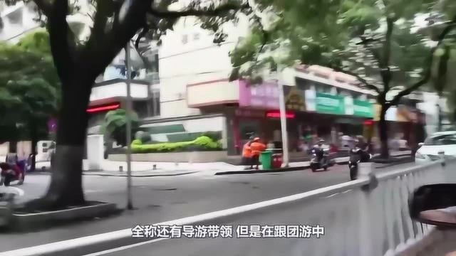 为什么跟团旅游时,导游不和游客一起吃饭?其中原因让人心痛!