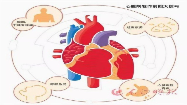 调护心脏,首重气血!简单两味药,补心脏、养心脏,健康长寿