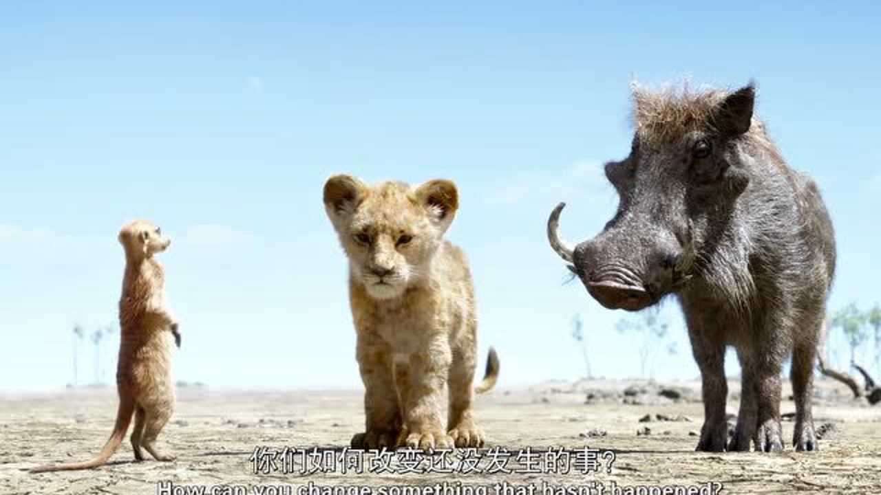 他们在劝导小辛巴不要失去生存的希望!