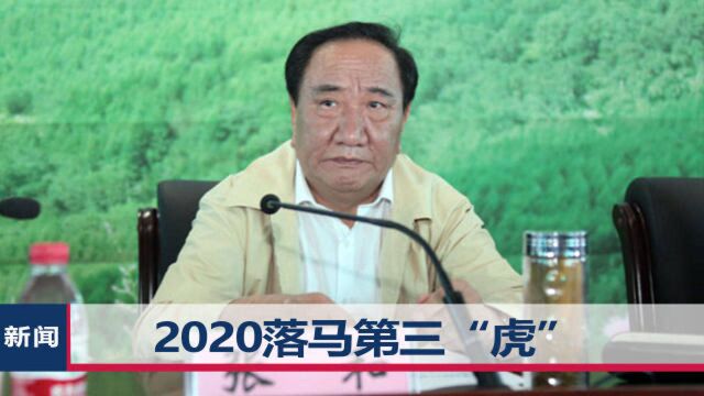 河北原省委常委张和被处分!自冠“布衣市长”,系2020落马第三“虎”