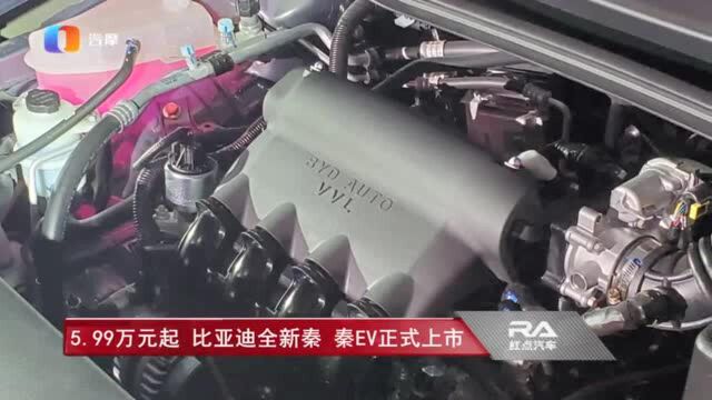 只要5.99万元起,比亚迪全新秦,秦EV正式上市