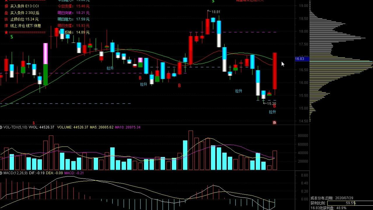 股票基本知识之集合竞价红绿量柱图解