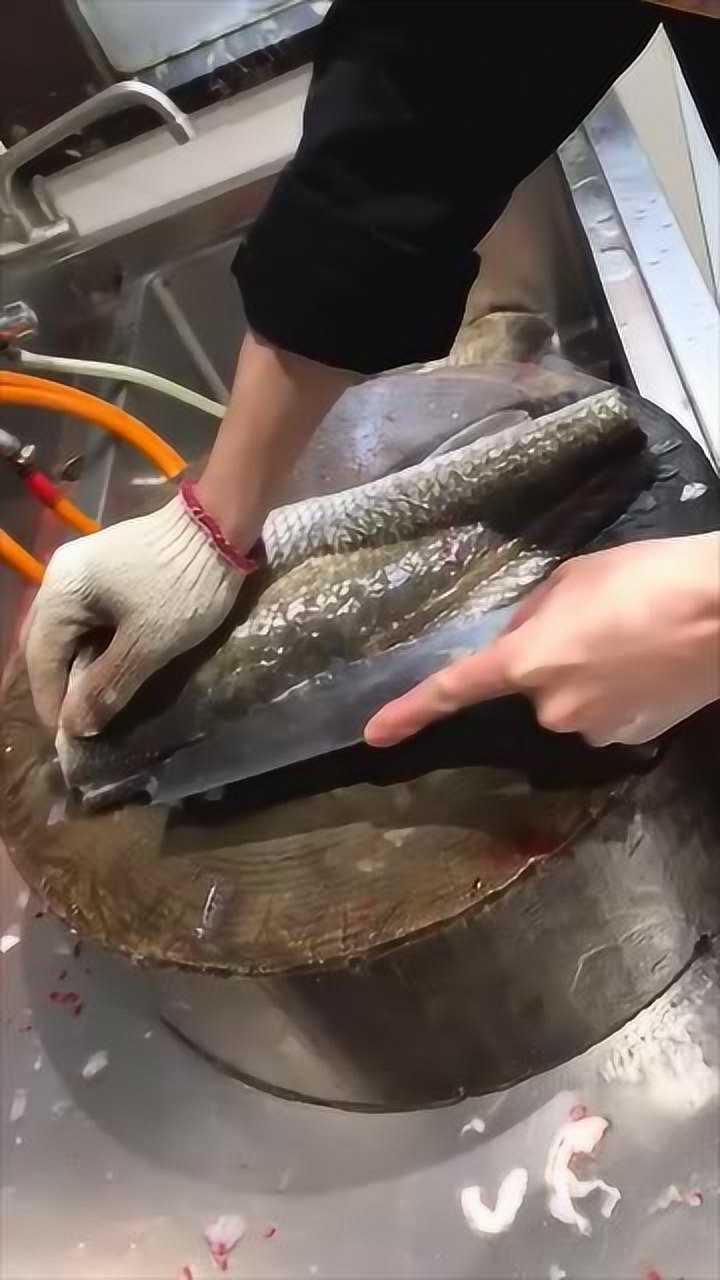 市场人称鱼一刀杀鱼只用30秒剔的又快又干净