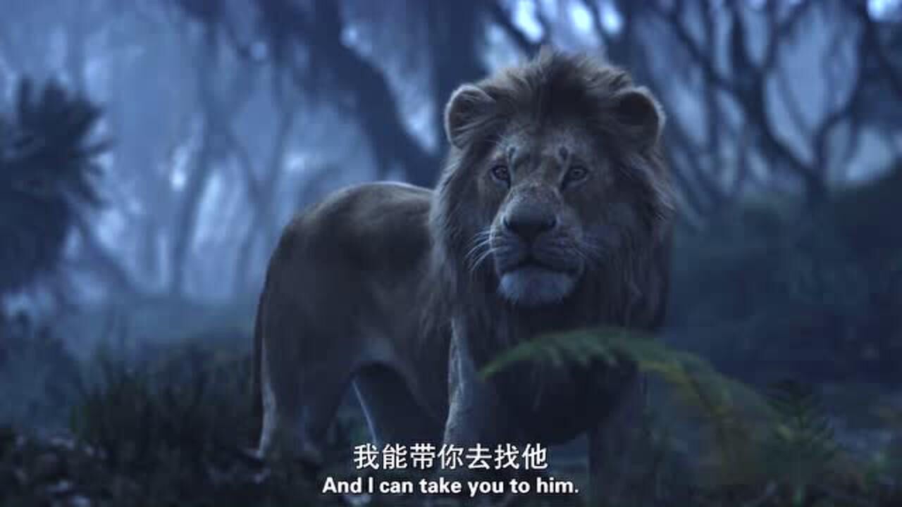 狮子王:辛巴没想到这个狒狒居然认识老爸木法沙,还说要带它去见木法沙