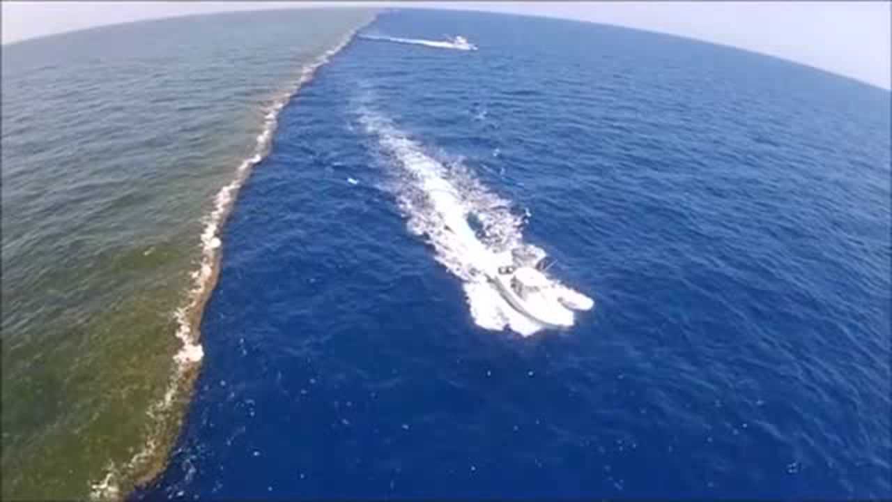 密西西比河与墨西哥湾的交汇处井水不犯河水知道这分界线是如何形成的