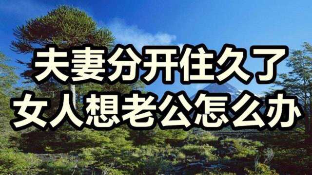 夫妻分开住久了,女人想老公怎么办?答案让人想不通