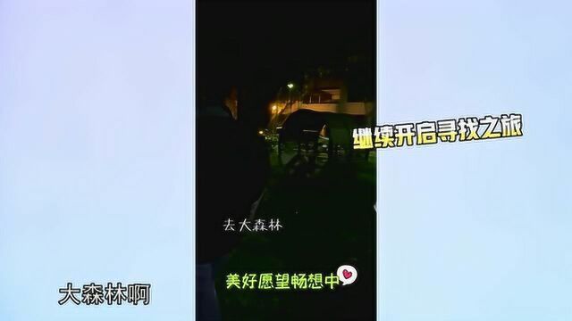 蔡徐坤的路透花絮,陈立农畅想大森林,毛晓彤:观众成语组合!