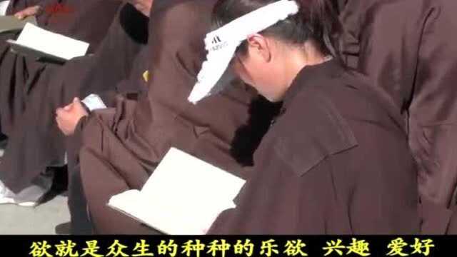 大安法师:佛的十力