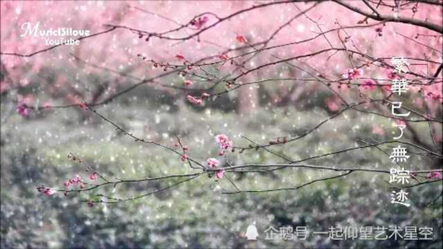 许茹芸《梅花》,配图音乐欣赏