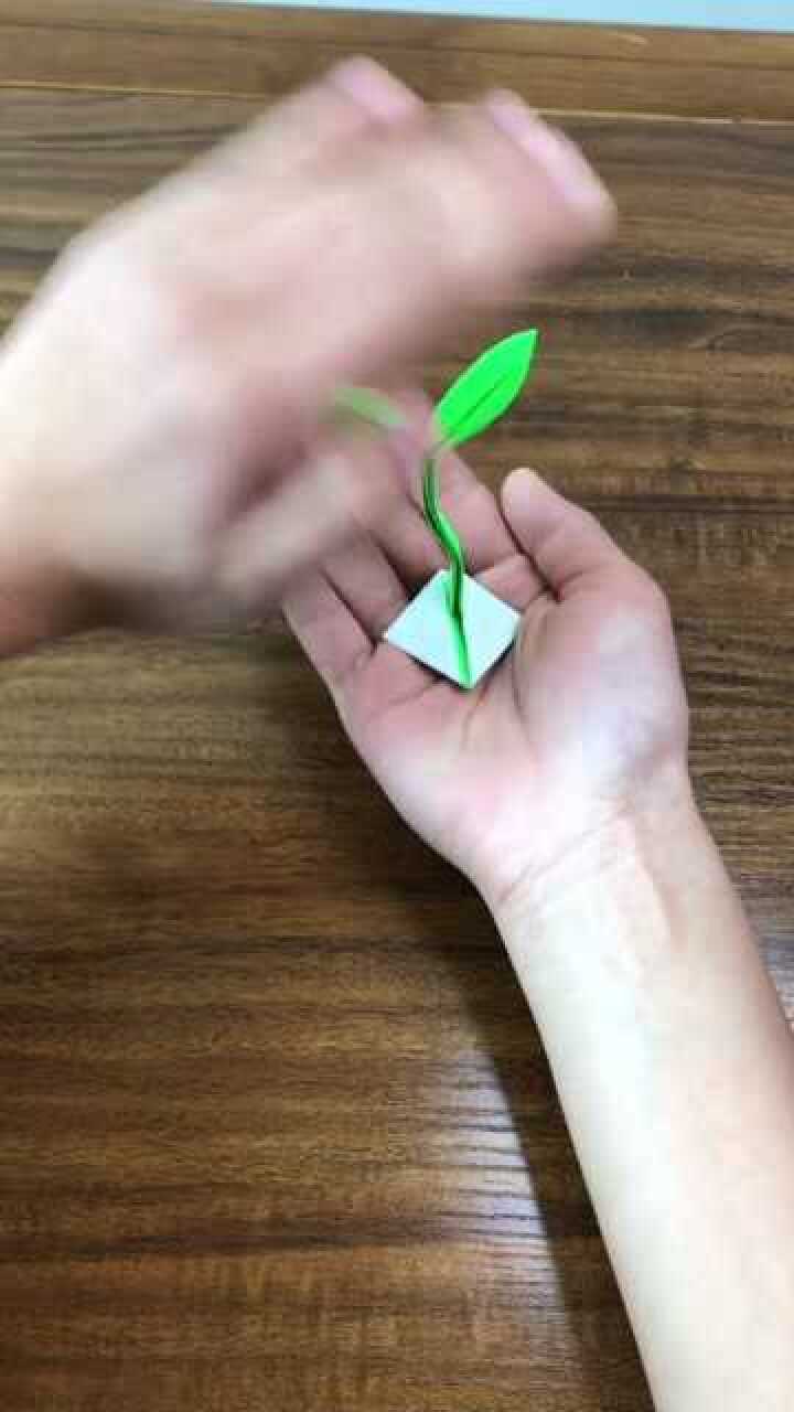 春天柳树发芽了嫩芽跟这款折纸一样圆嘟嘟的手工折纸打call我的内容