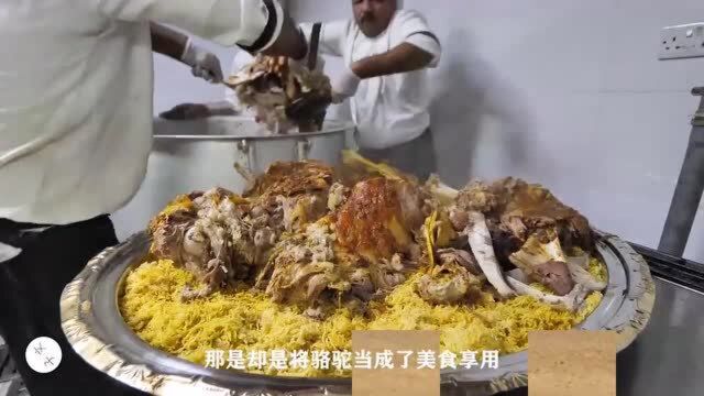 饿不死也渴不死的骆驼,却在阿拉伯地区被土豪烤着吃