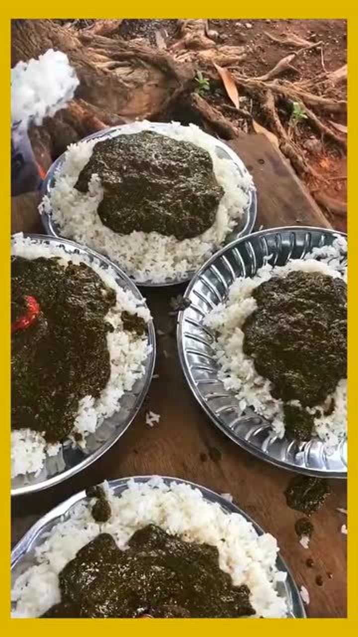 非洲人在烹饪方面造诣颇深,绿色料理当汤汁浇饭,成品下瞬间叫人食欲全