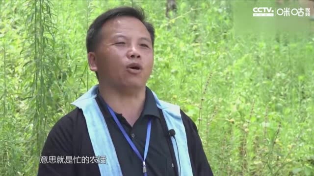 “人类文明的活化石”白裤瑶欢度瑶年节