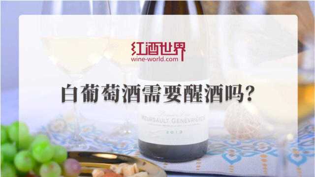 白葡萄酒需要醒酒吗?