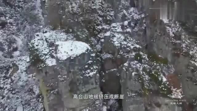 风味人间 延续了十九世纪做法的奶酪, 一种长满霉菌的奶酪