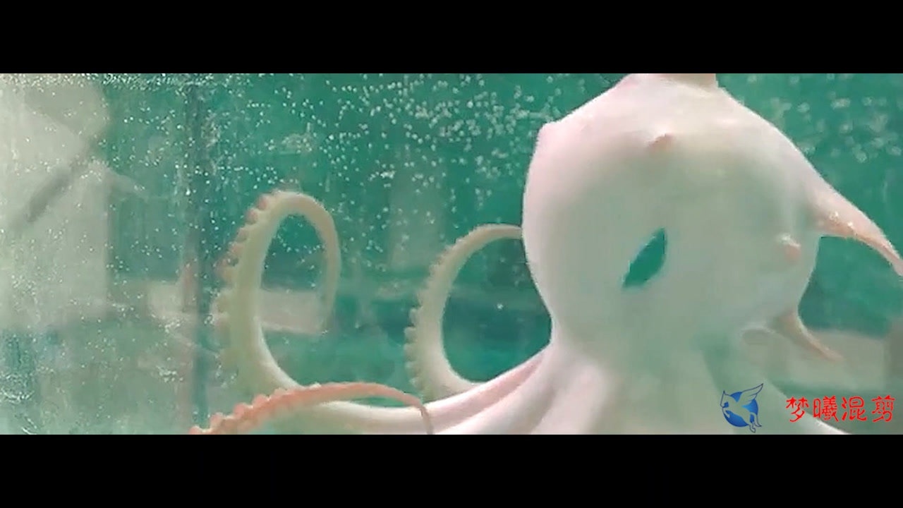 《大章鱼》人类捕获小章鱼,却引来大章鱼复仇的电影!