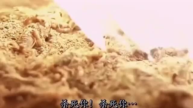 电影:你还算个男人嘛,看着满地的蜈蚣,敢躲在公主的背后