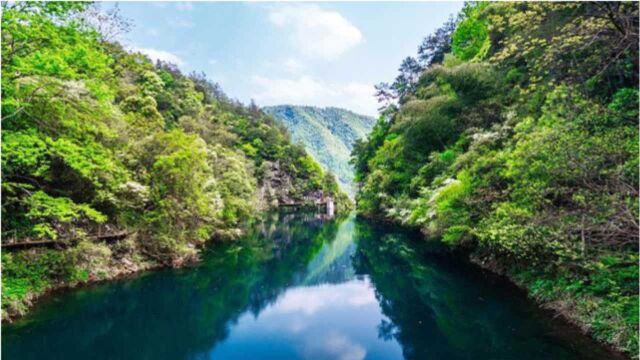 安徽有一个小黄山,风景不比黄山差,关键票价便宜一半!