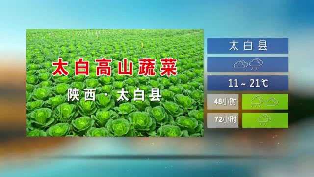 陕西一套《旅游天气预报》2020.9.11