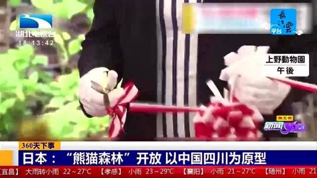 日本:“熊猫森林” 开放,以中国四川为原型