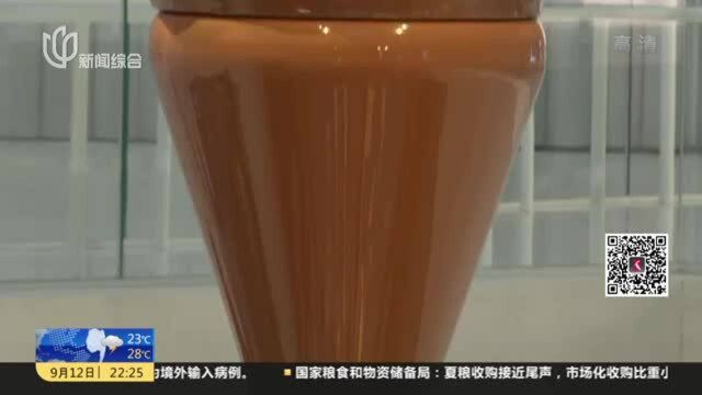 瑞士:9.3米高世界最大巧克力喷泉揭幕