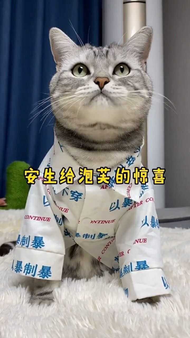 安生祝泡芙生日快乐希望安生争气点早日俘获芙芙的心