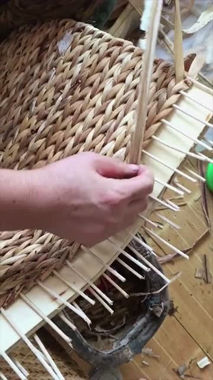 传统手艺人编织簸箕手法娴熟一气呵成这技术得练多少年