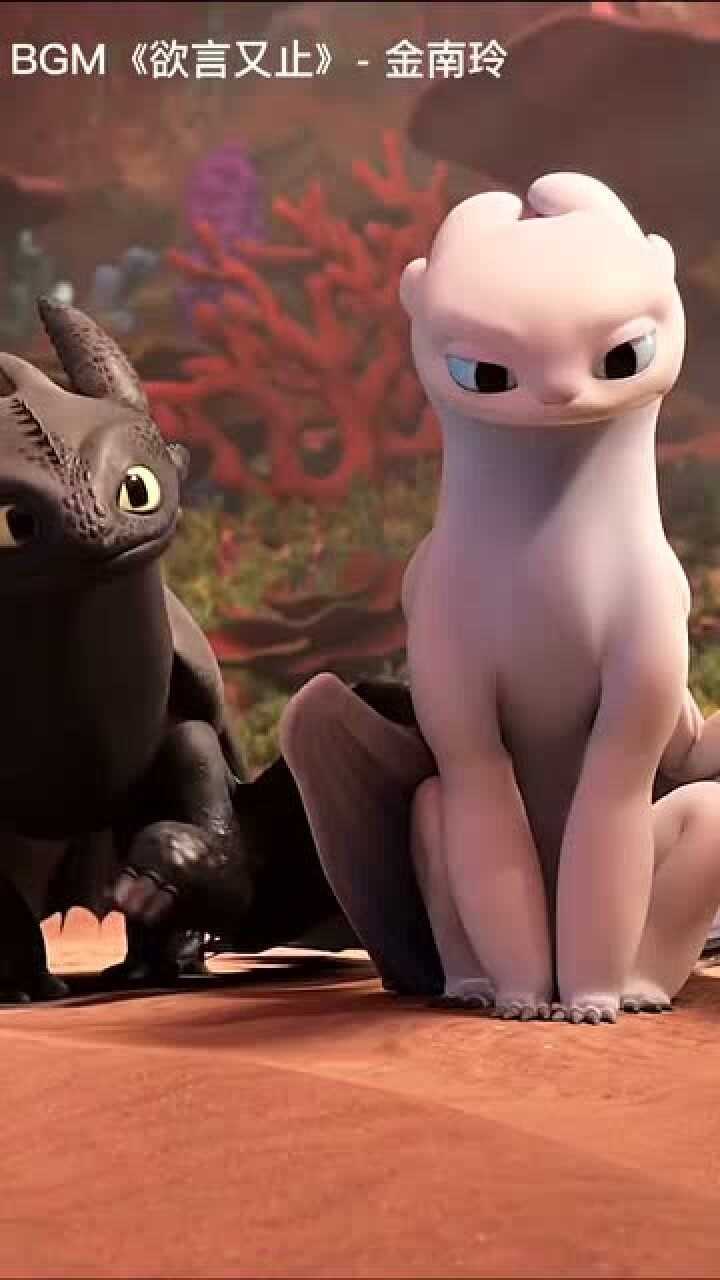 无牙仔和光煞就是爱情吧这也太让人羡慕了吧