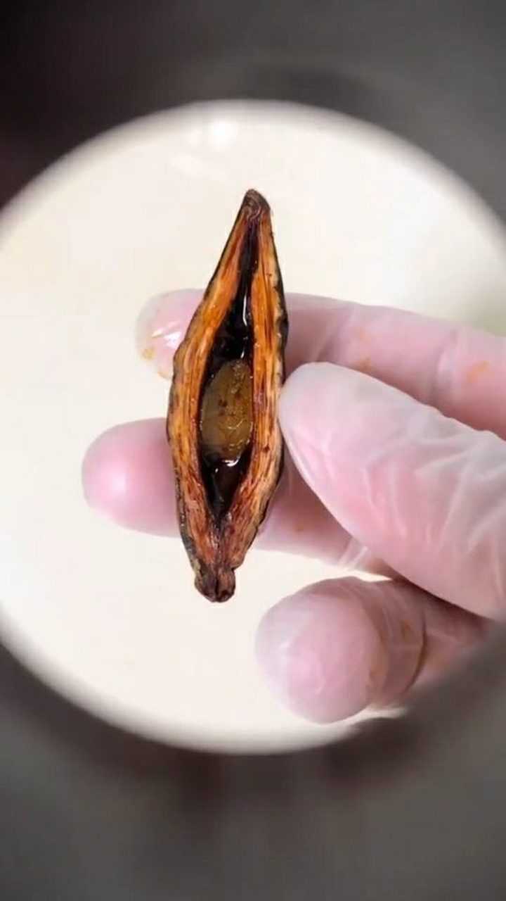 把槟榔拿到显微镜下放大后看到这一幕再也不敢乱吃了