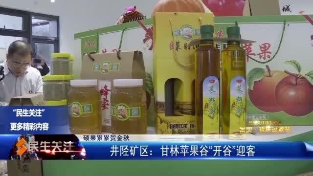 矿区:甘林苹果谷“开谷”迎客