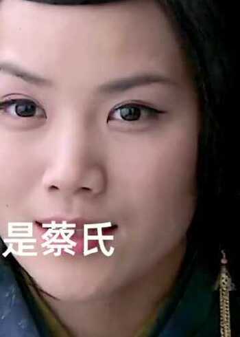 新三国:我是蔡氏
