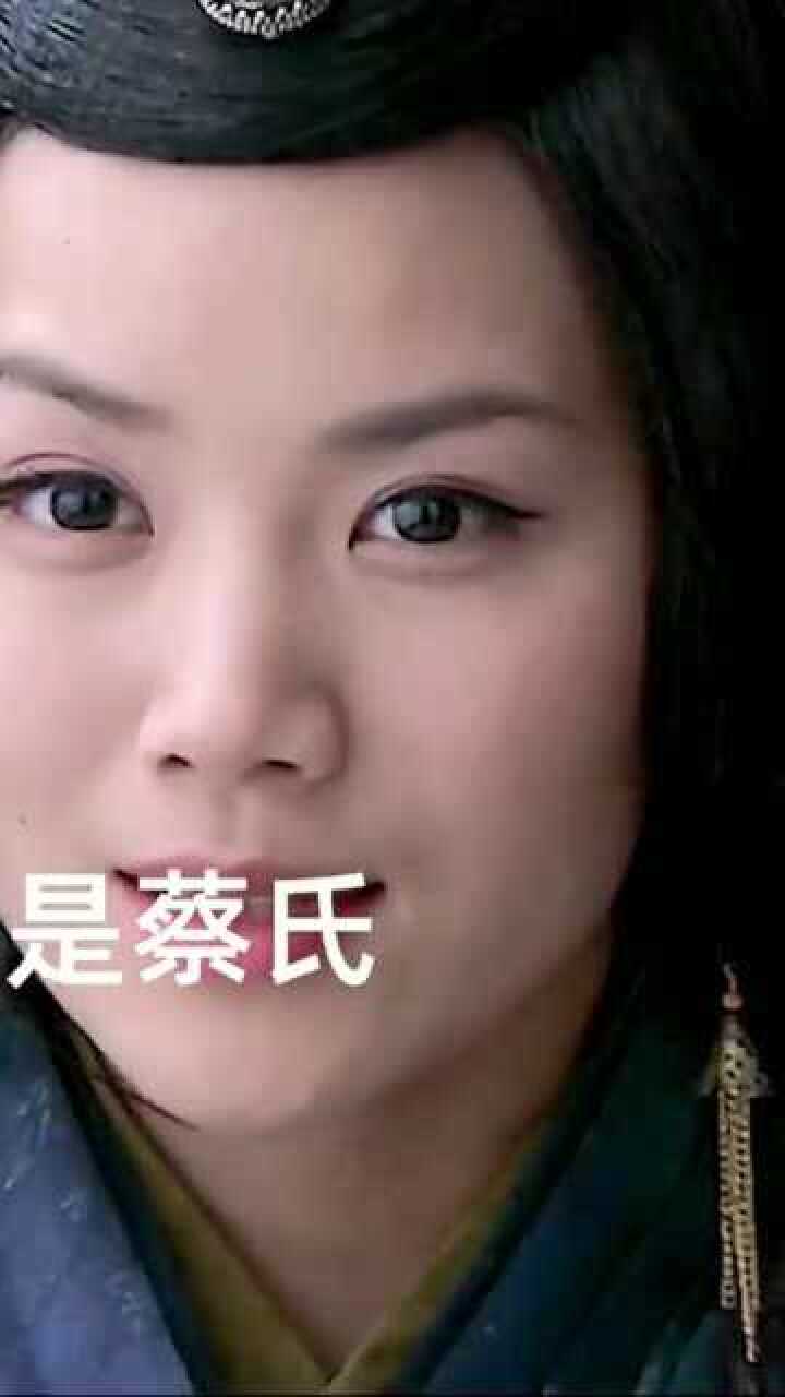 新三国:我是蔡氏