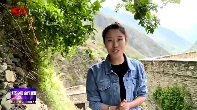 天府旅游名县:“藏羌走廊”理县,体验藏羌风情