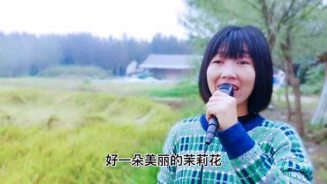 老歌《茉莉花》,经久不衰的曲子,听不够