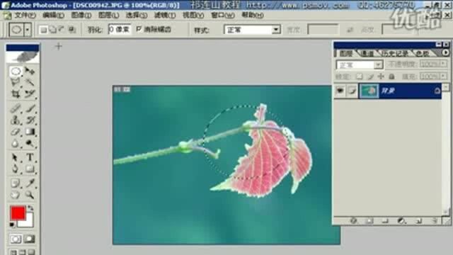 Photoshop从头学起第08集