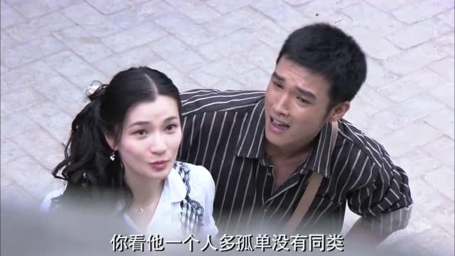 美女给野人找到了亲生妈妈,没想野人看到妈妈,顿时吓坏了