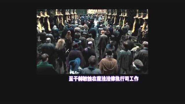 JK罗琳亲口揭秘哈利罗恩赫敏,大战后都去了魔法部工作