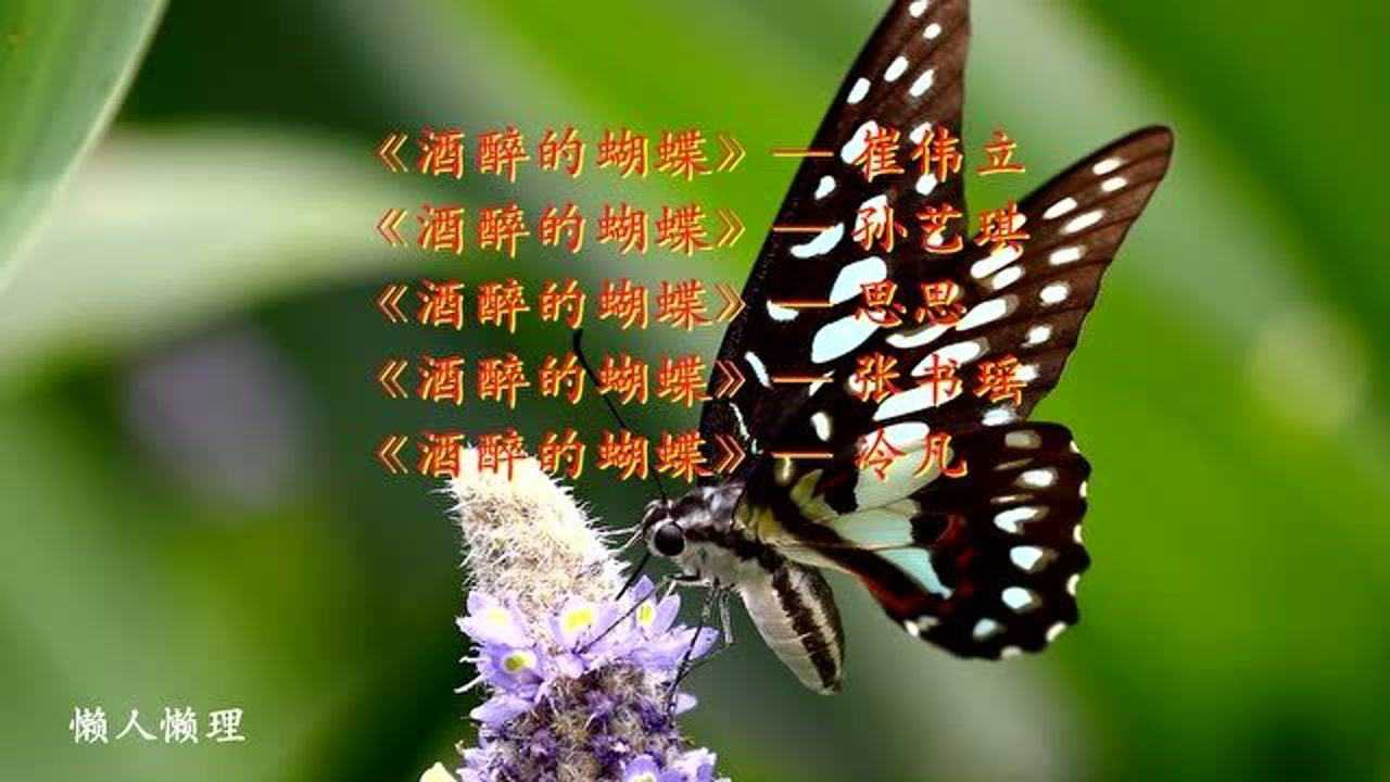 崔伟立孙艺琪思思张书瑶冷凡歌曲酒醉的蝴蝶合集