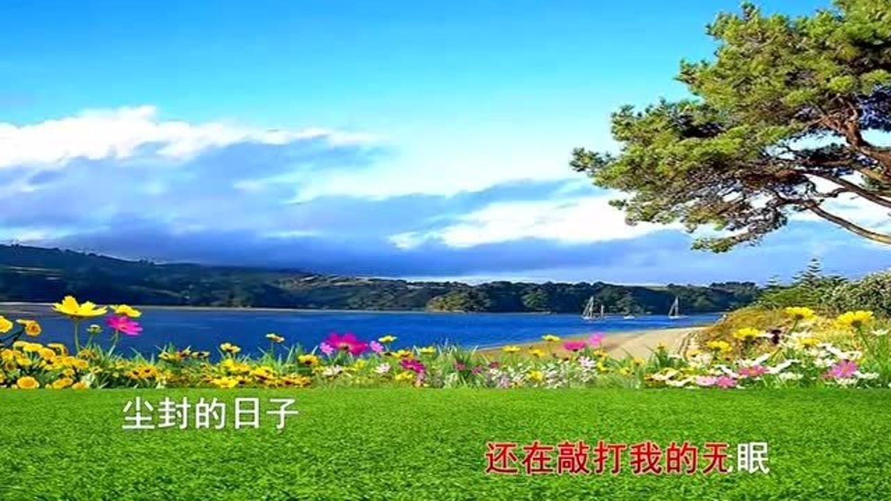 毛寧《濤聲依舊》