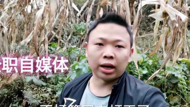 27岁一无所有,失业一个月还不找工作,是打算做全职自媒体吗